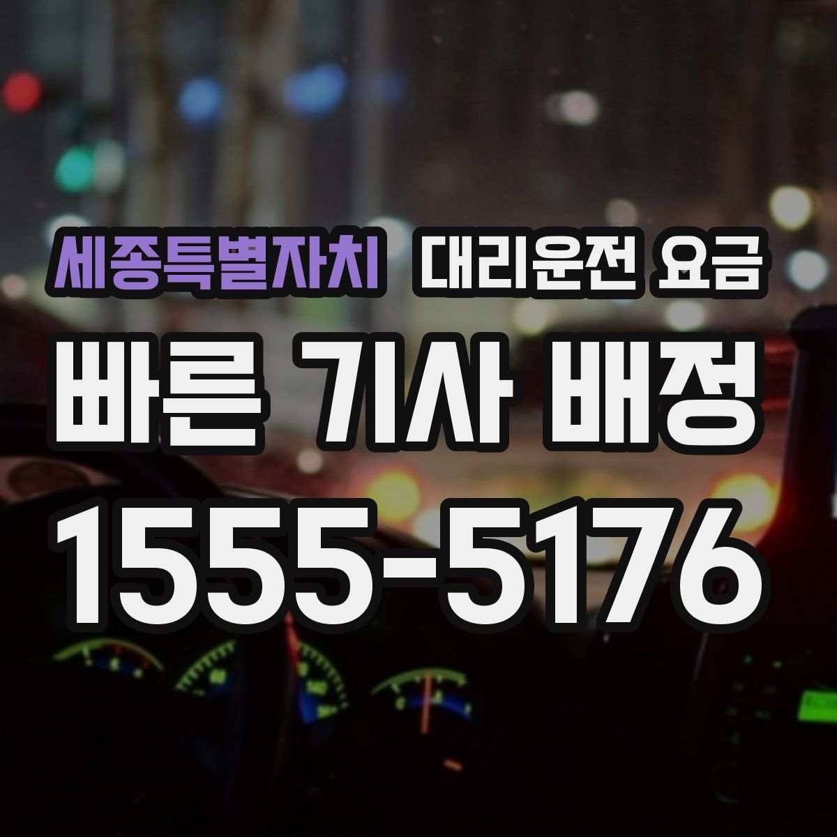 세종특별자치 대리운전