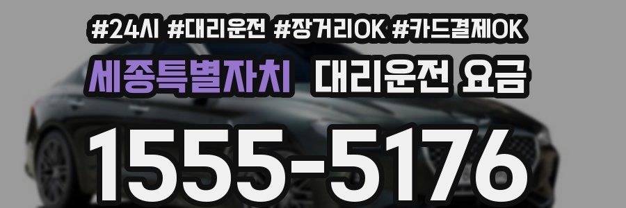 세종특별자치 대리운전 요금