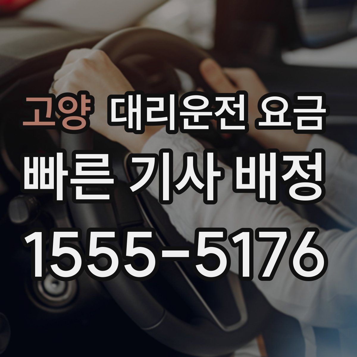 고양 대리운전 요금 역 앞 픽업 존이 복잡할 때도 안내 이용 가능합니다