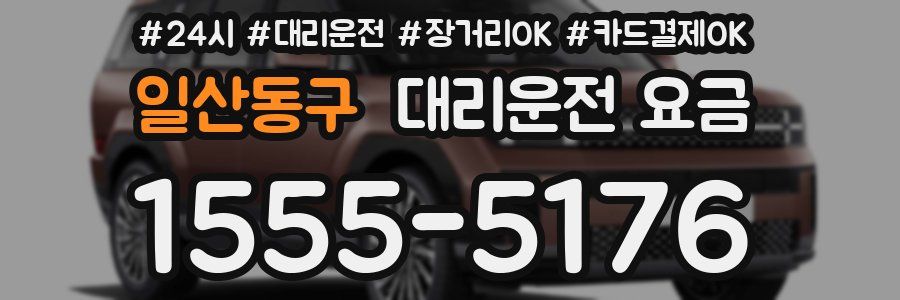 일산동구 대리운전 요금