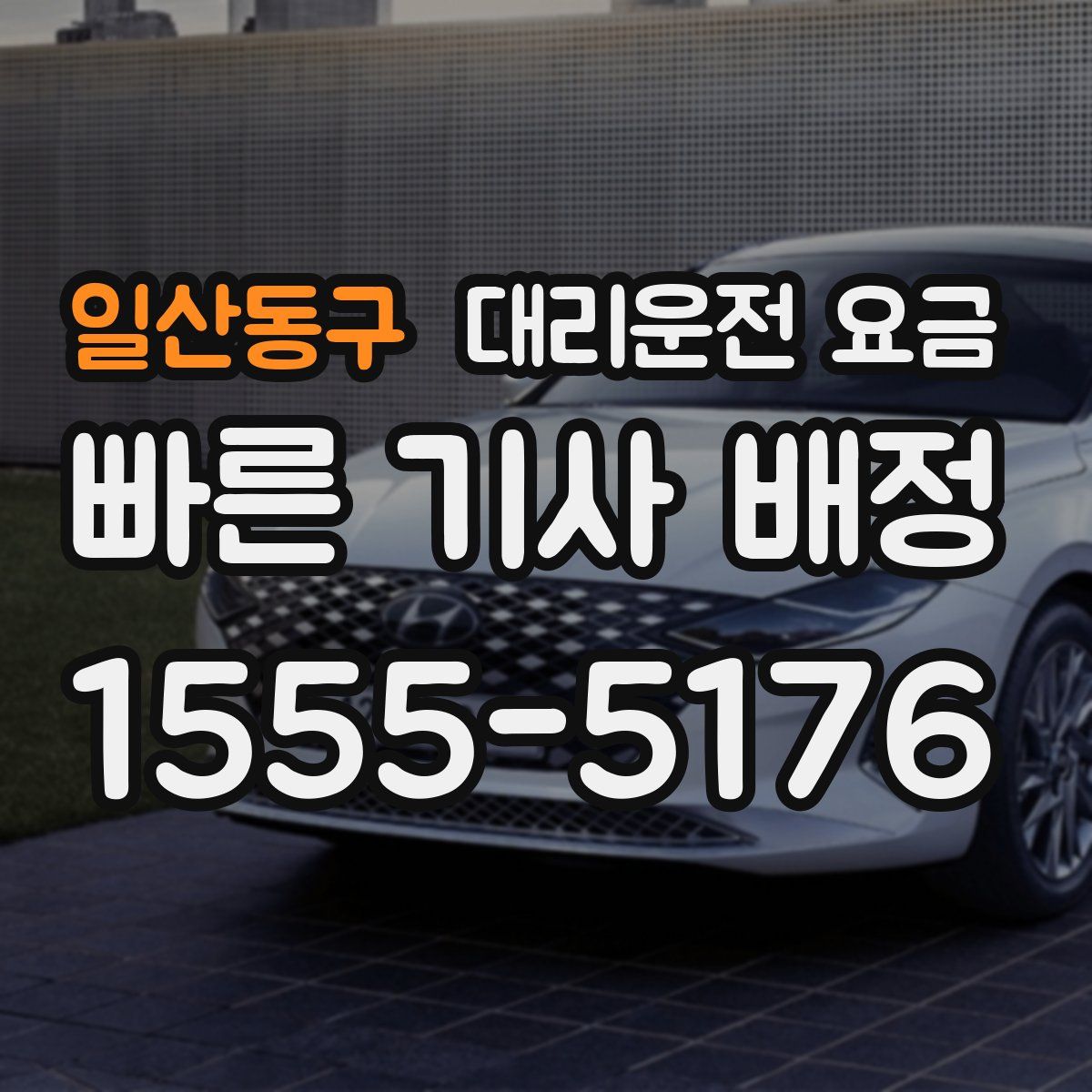 일산동구 대리운전