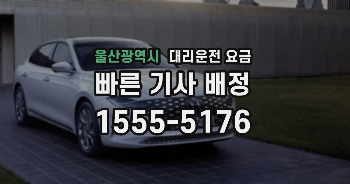 울산광역시 대리운전 가격