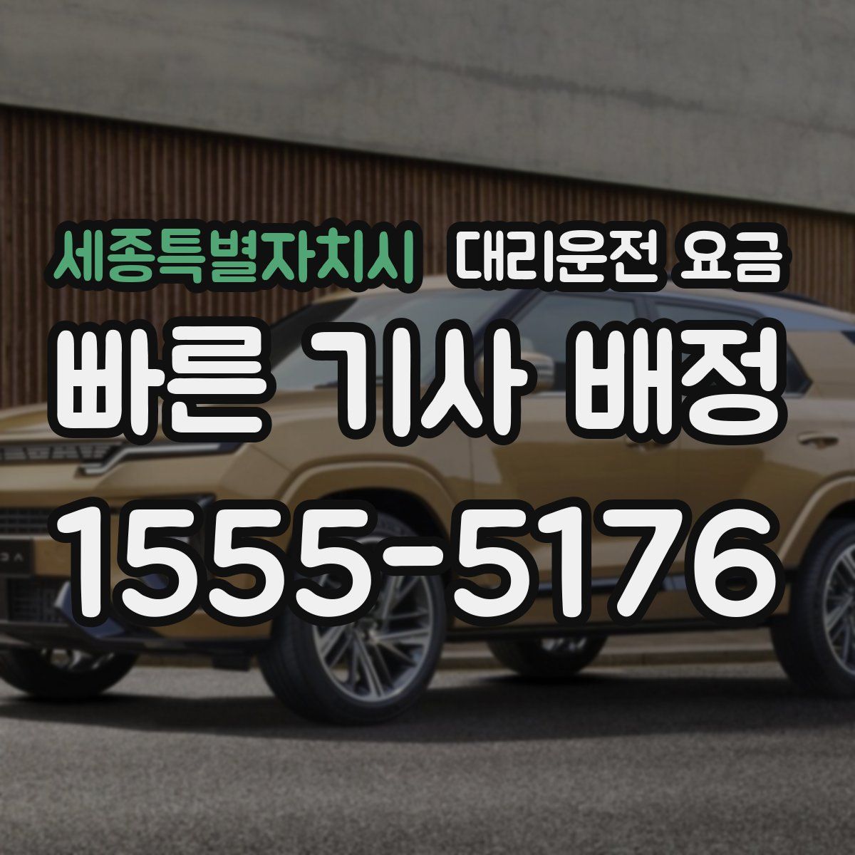 세종특별자치시 대리운전