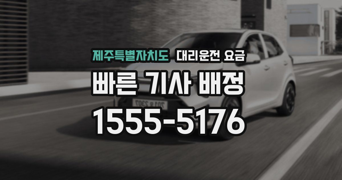 제주특별자치도 대리운전 가격