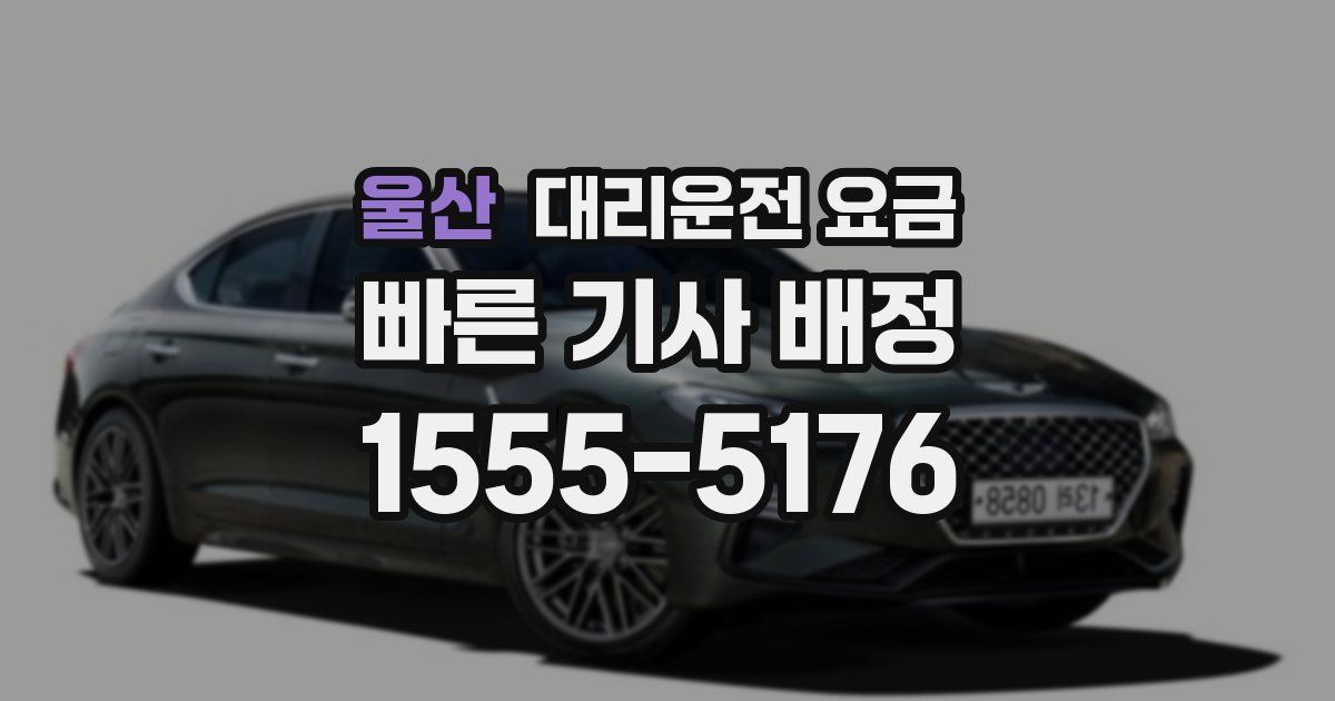 울산 대리운전 가격