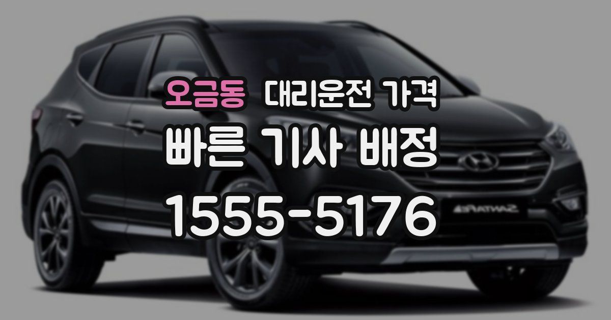 오금동 대리운전 가격