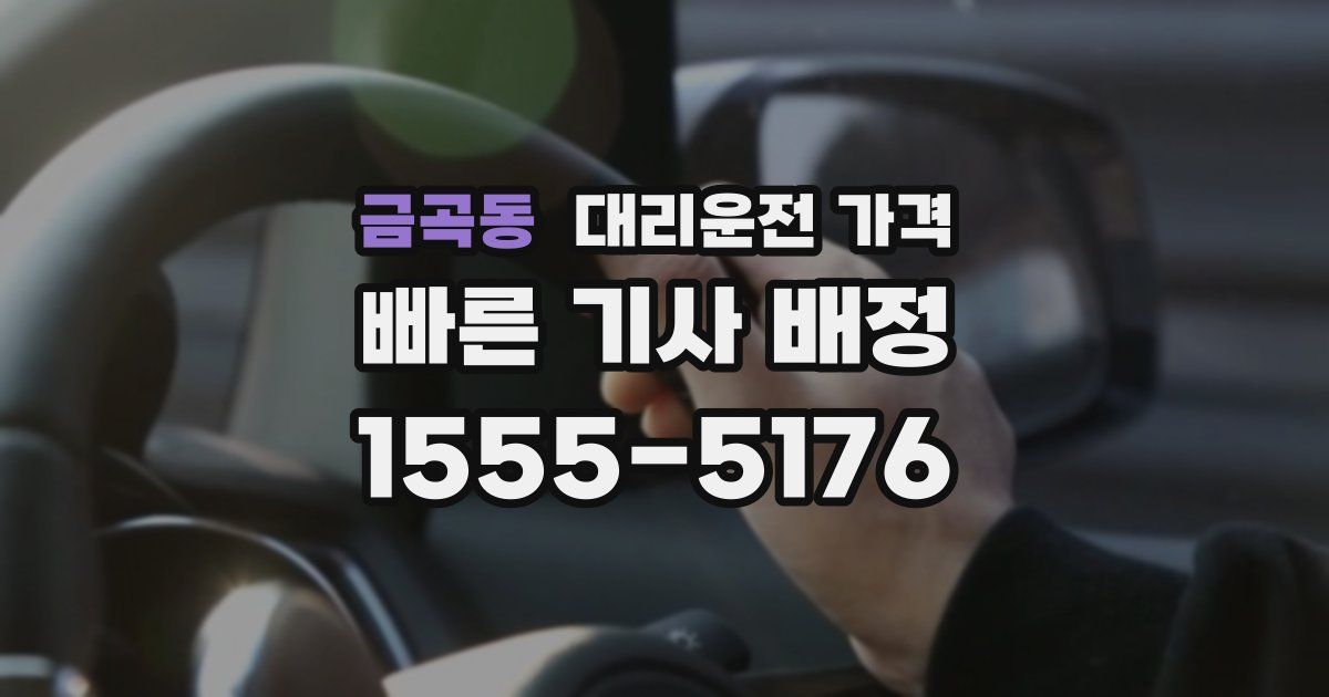 금곡동 대리운전 가격