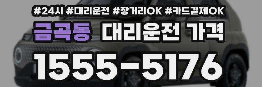 금곡동 대리운전 가격