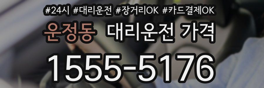 운정동 대리운전 가격