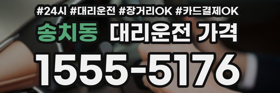 송치동 대리운전 가격