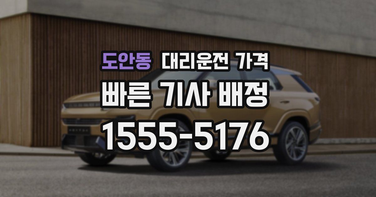 도안동 대리운전 가격