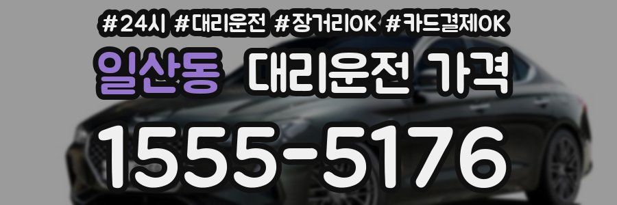 일산동 대리운전 가격