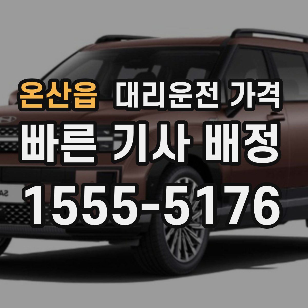 온산읍 대리운전