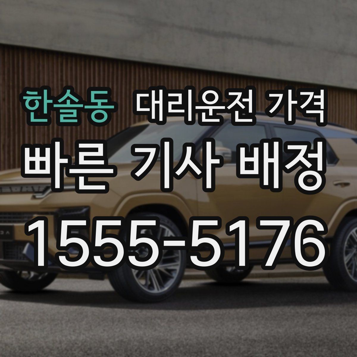 한솔동 대리운전 가격 출발지 목적지 말고 더 필요한 정보