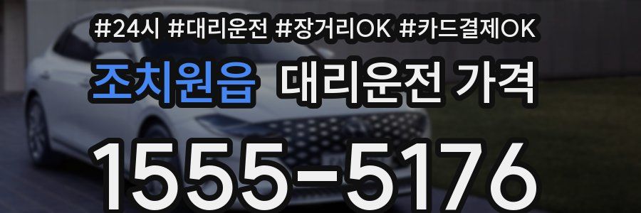 조치원읍 대리운전 가격
