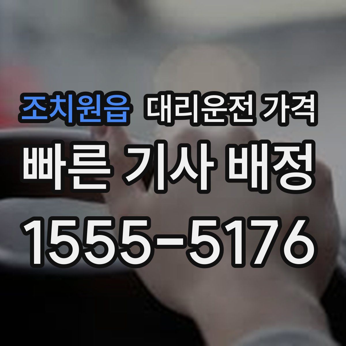 조치원읍 대리운전