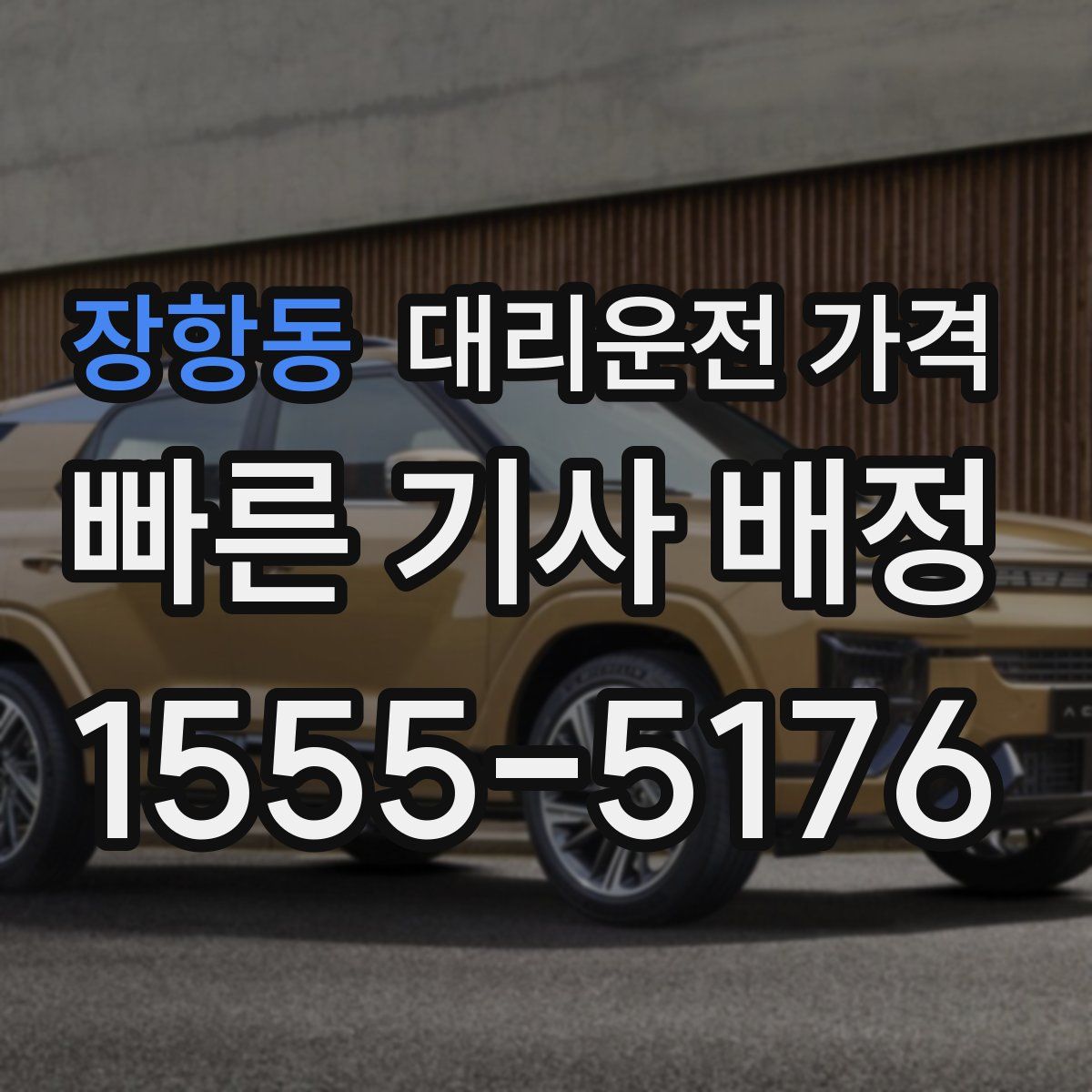 장항동 대리운전