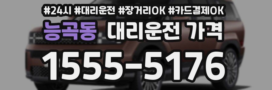 능곡동 대리운전 가격