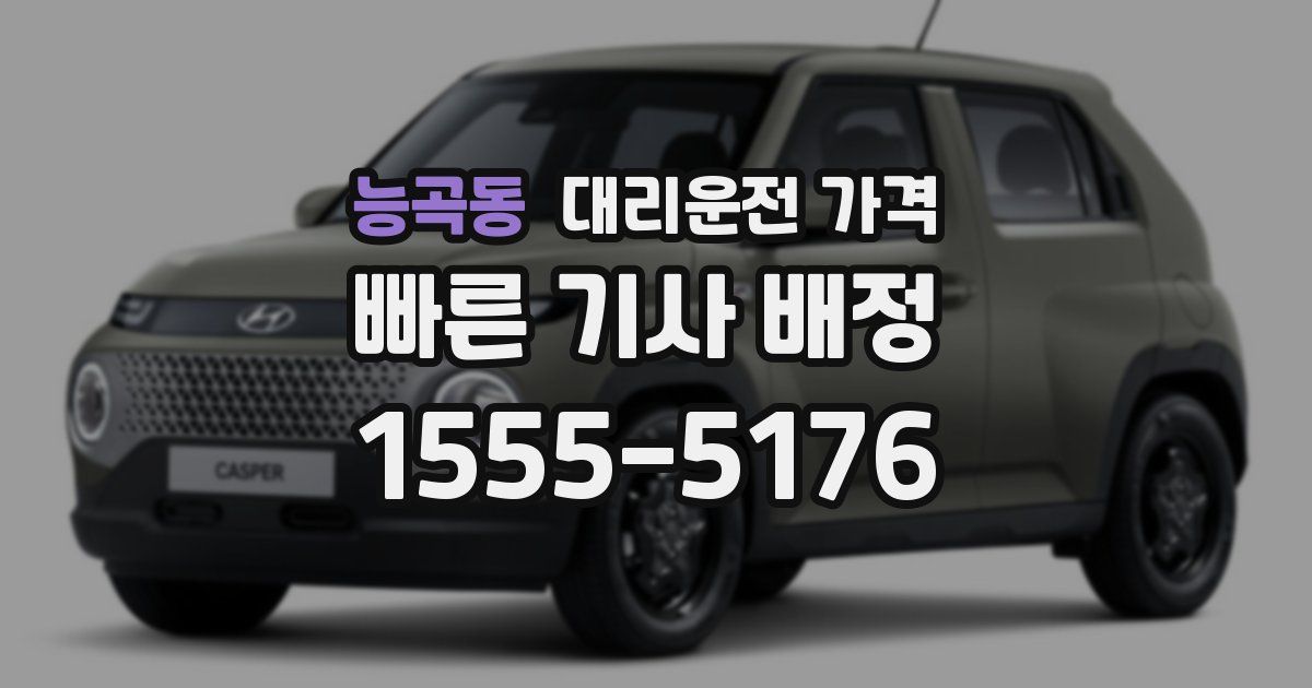 능곡동 대리운전 가격