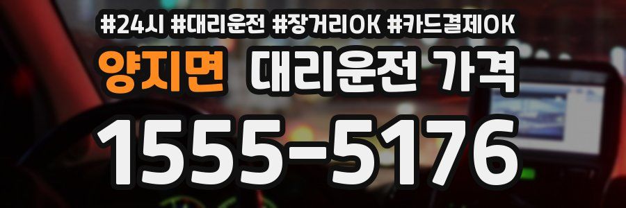 양지면 대리운전 가격