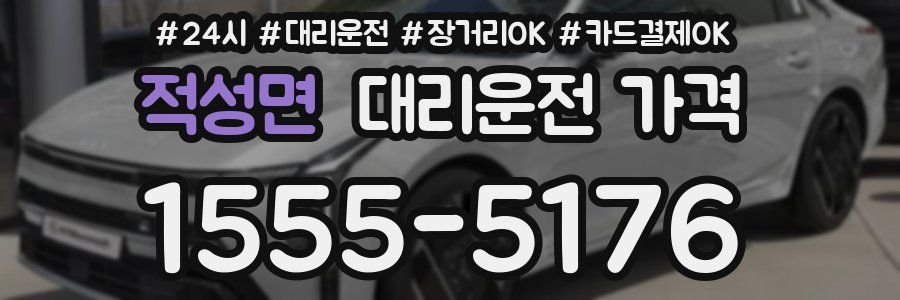 적성면 대리운전 가격