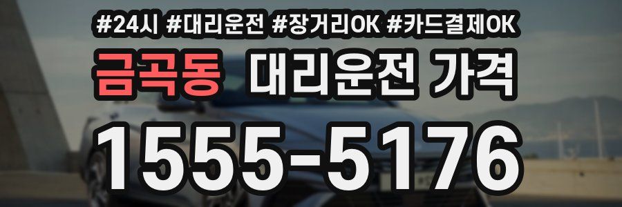 금곡동 대리운전 가격