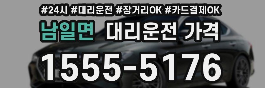 남일면 대리운전 가격