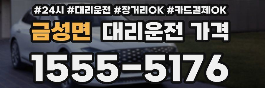금성면 대리운전 가격
