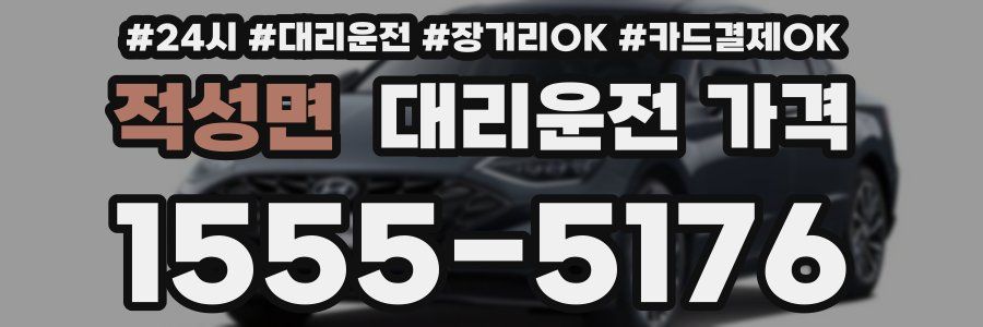 적성면 대리운전 가격