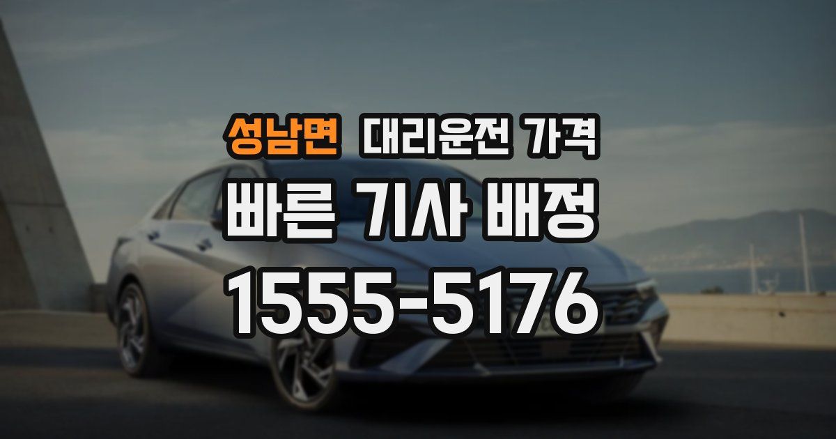 성남면 대리운전 가격