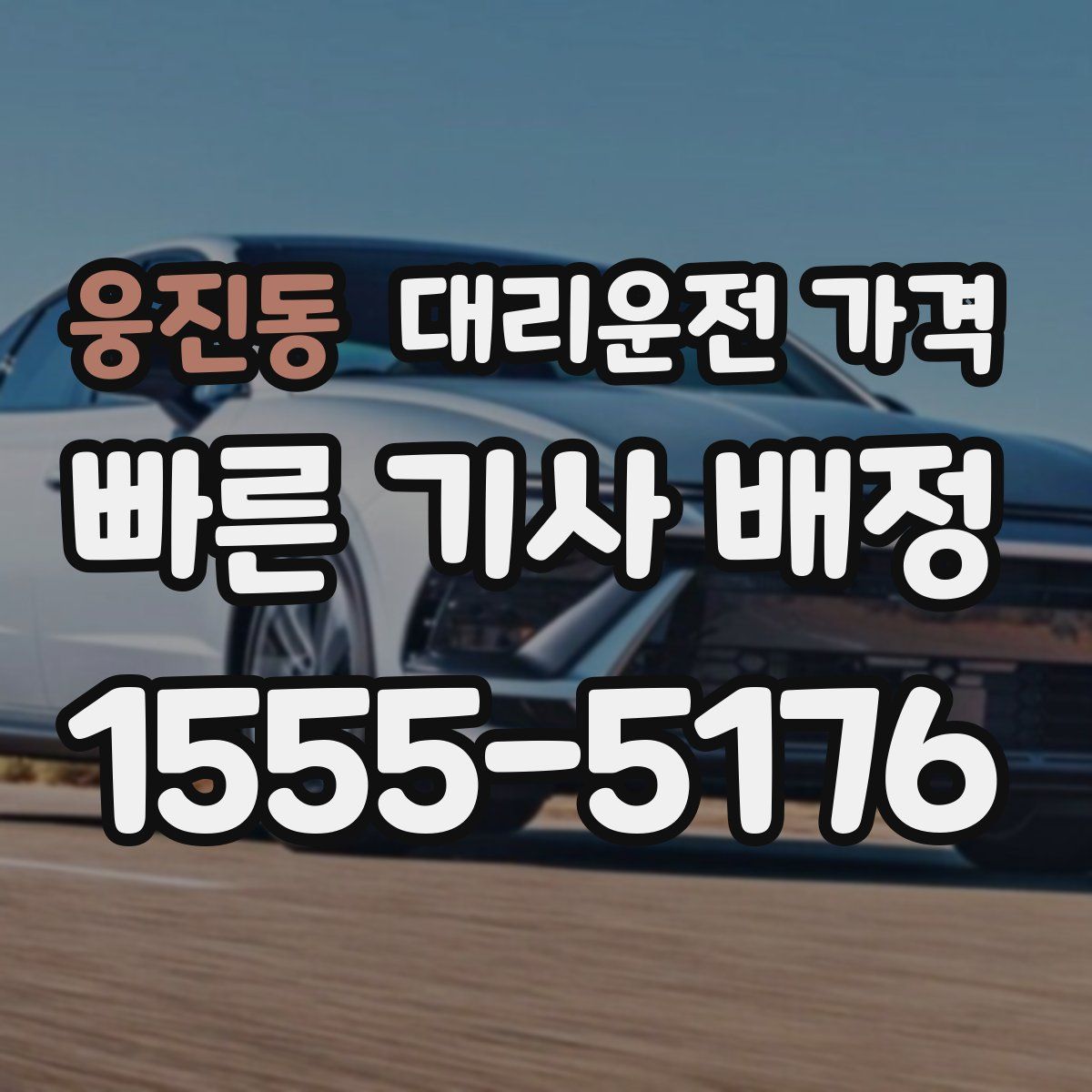 웅진동 대리운전