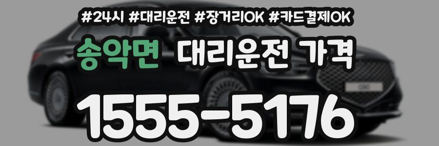 송악면 대리운전 가격
