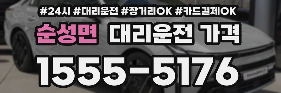 순성면 대리운전 가격