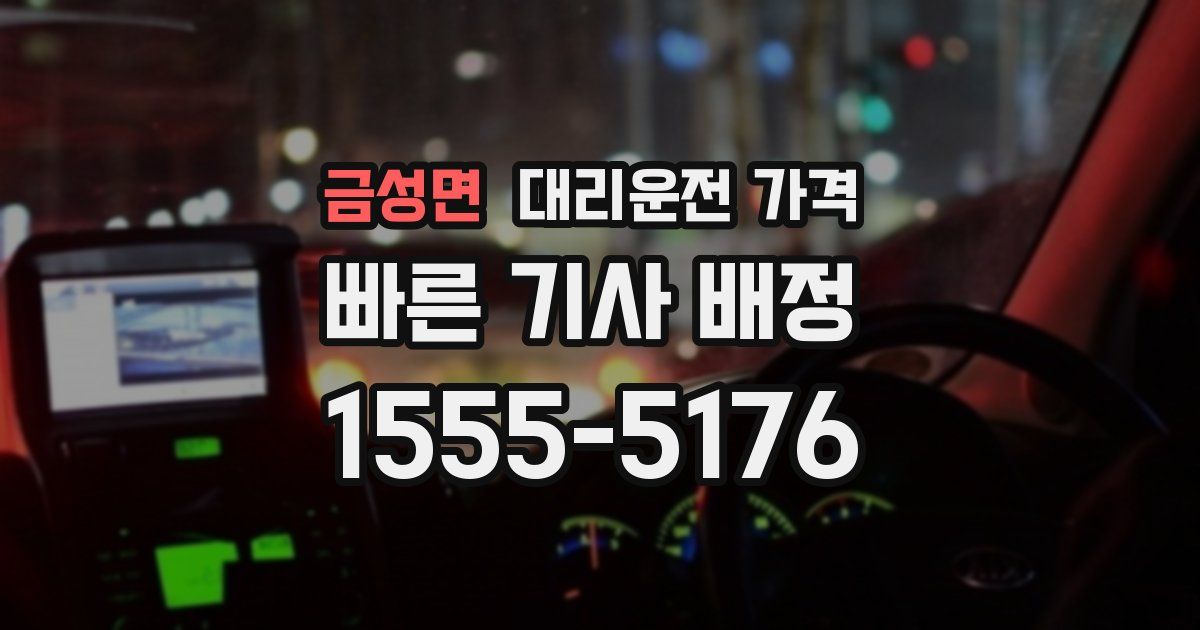 금성면 대리운전 가격