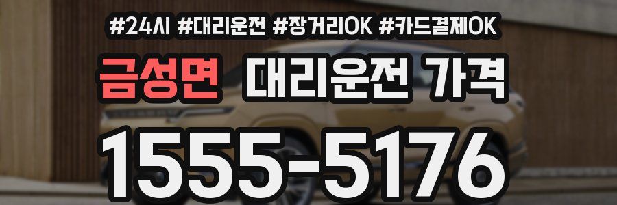 금성면 대리운전 가격
