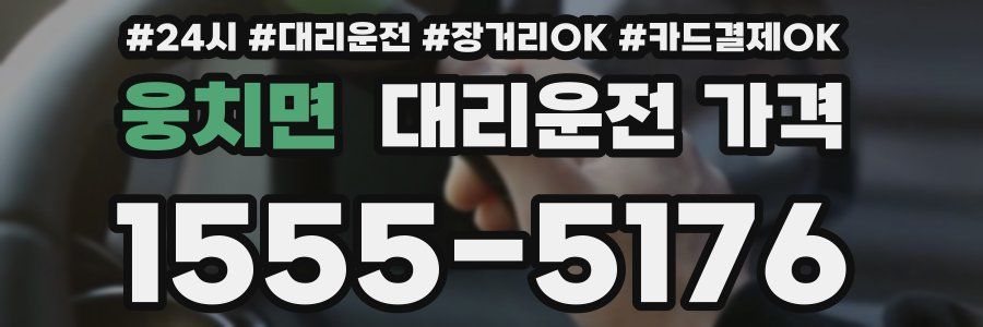 웅치면 대리운전 가격