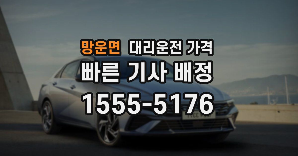 망운면 대리운전 가격