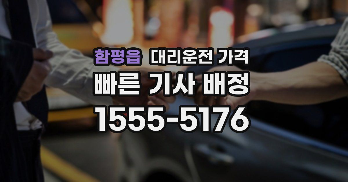 함평읍 대리운전 가격