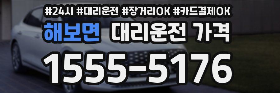 해보면 대리운전 가격