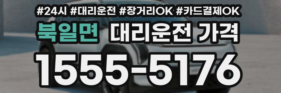 북일면 대리운전 가격