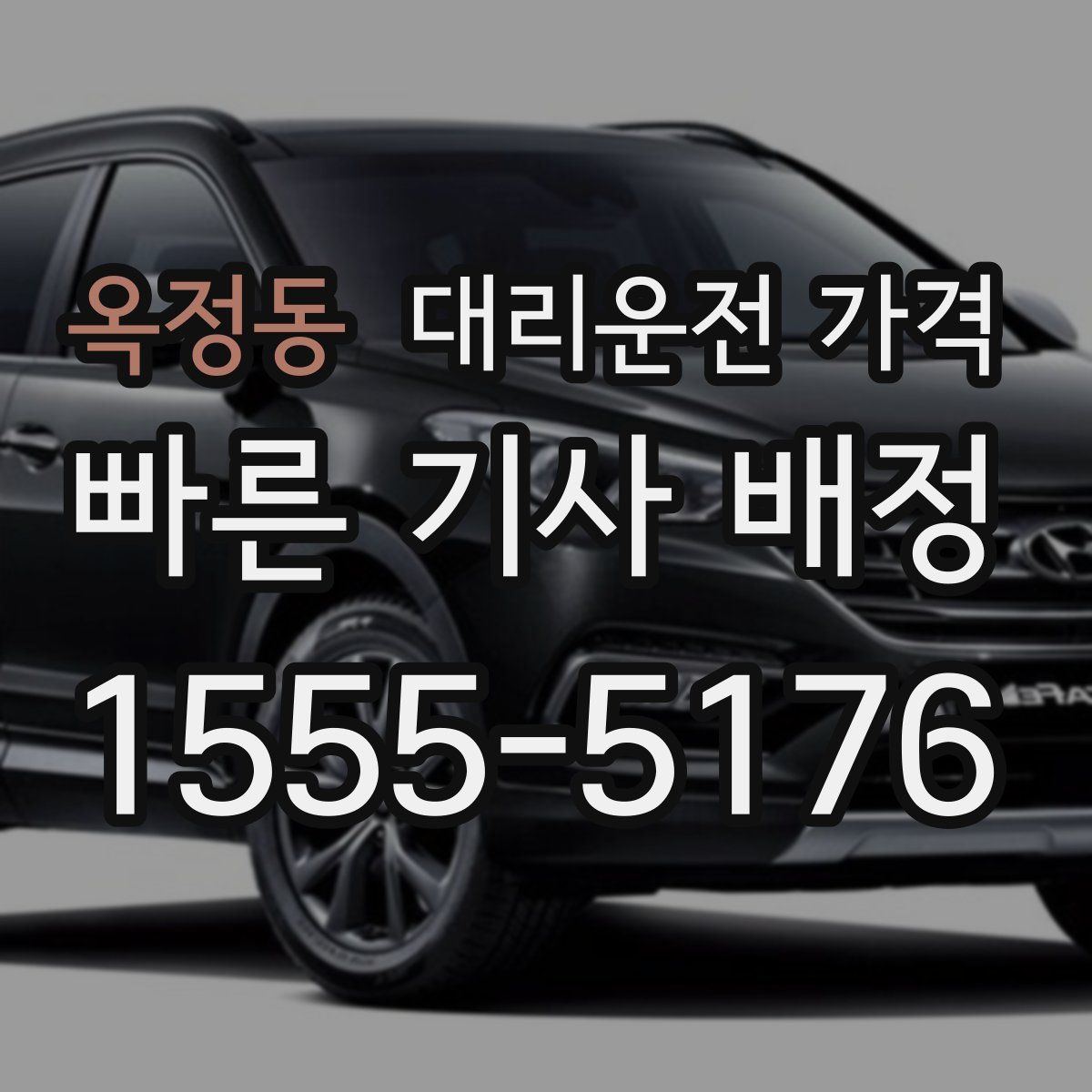 옥정동 대리운전