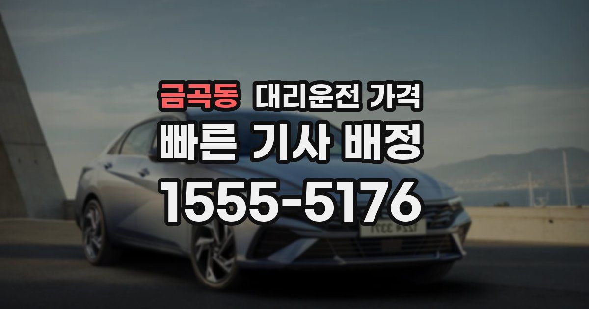 금곡동 대리운전 가격