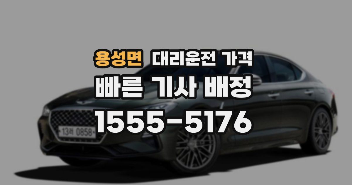 용성면 대리운전 가격