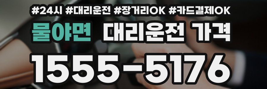 물야면 대리운전 가격