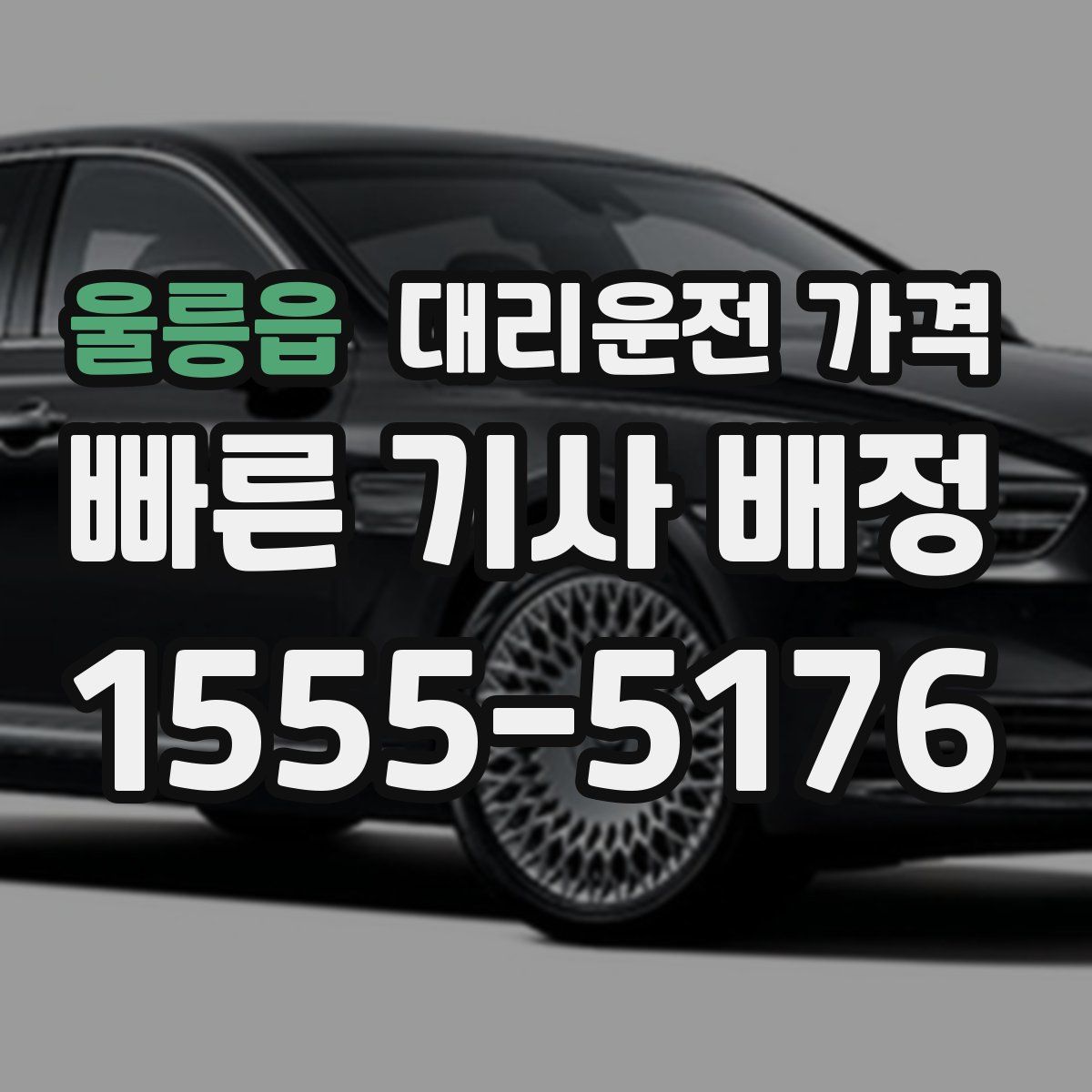 울릉읍 대리운전