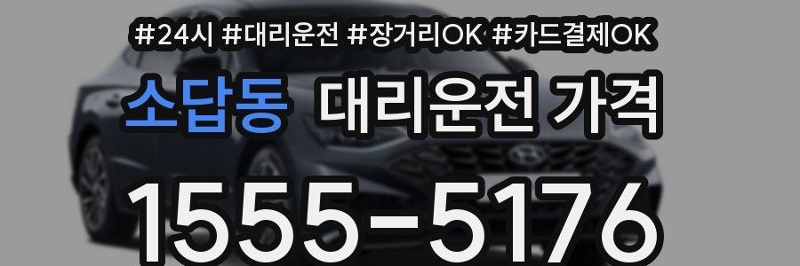 소답동 대리운전 가격