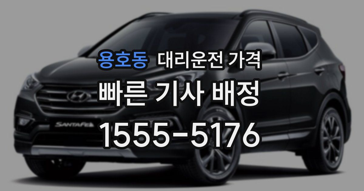 용호동 대리운전 가격