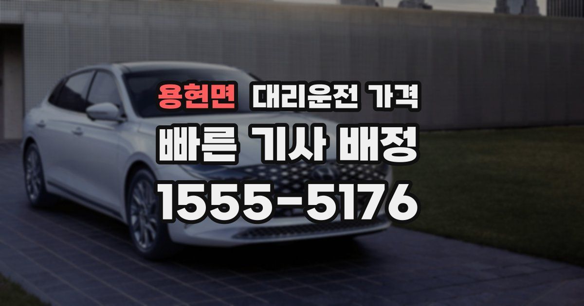 용현면 대리운전 가격