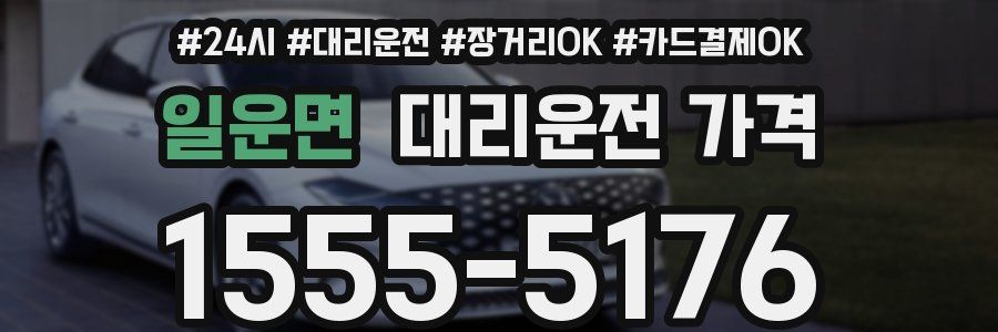 일운면 대리운전 가격