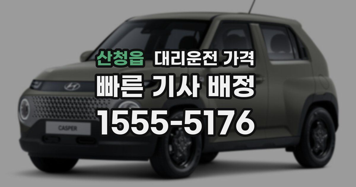 산청읍 대리운전 가격